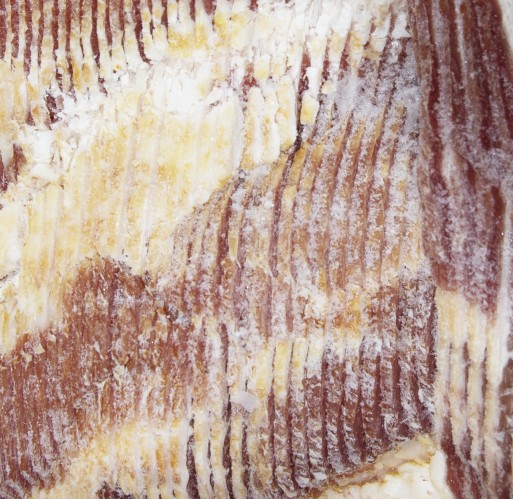 FZ Bacon - Thin (18-22) Platter IK 15 lb