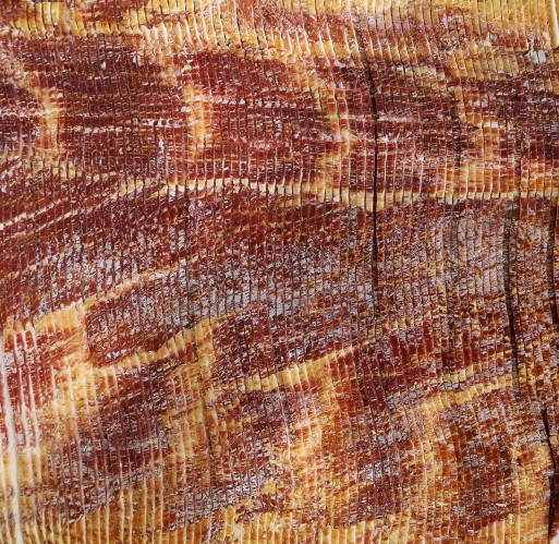 Bacon - Regular (16-18) Kunzler 10 lb
