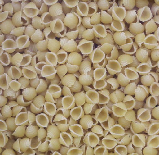 Pasta - Shells Small Zerega