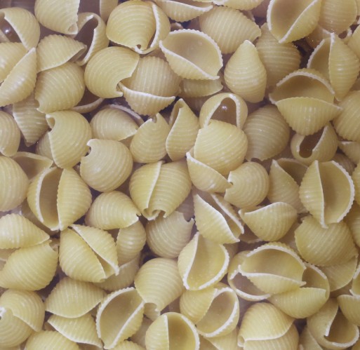 Pasta - Shells Medium Zerega