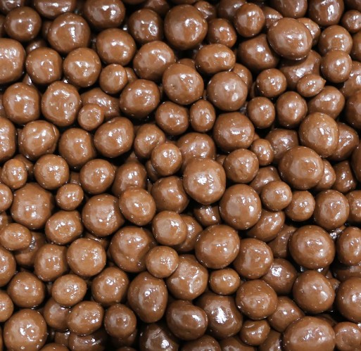 Milk Chocolate - Sea Salt Caramel Raisins GKI