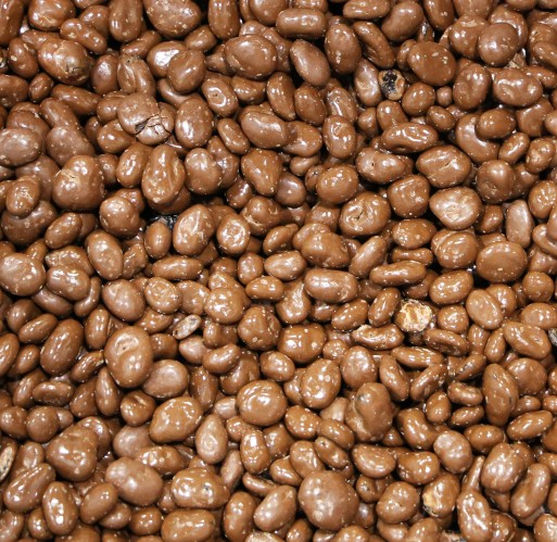 Chocolate - Raisins (Zachary - Bean Plant Road)