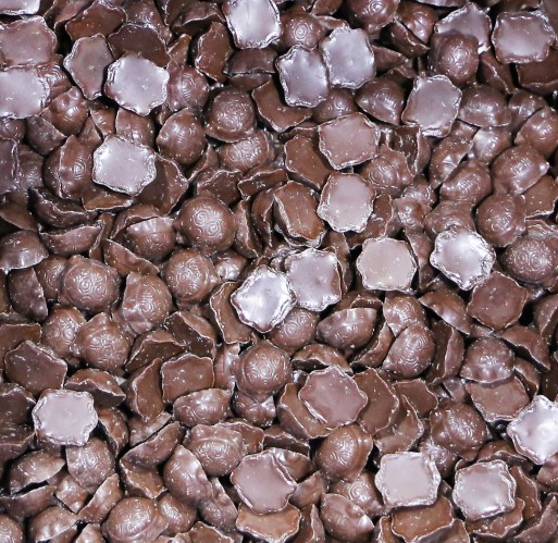 Chocolate - Milk Caramel Turtles