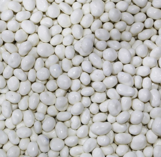 Yogurt - Raisins