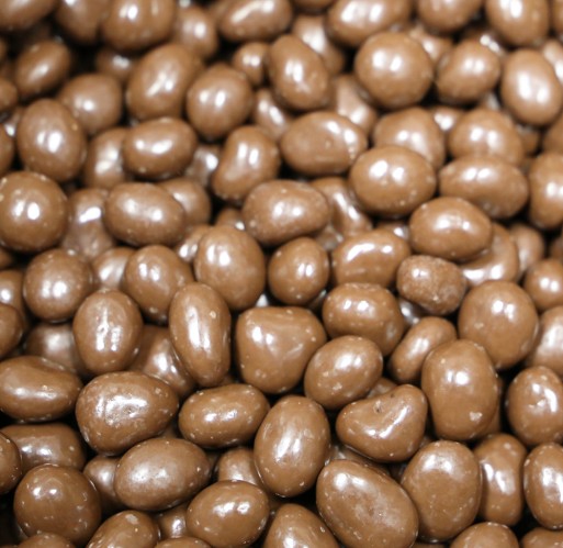 Chocolate - Raisins Hayden Valley
