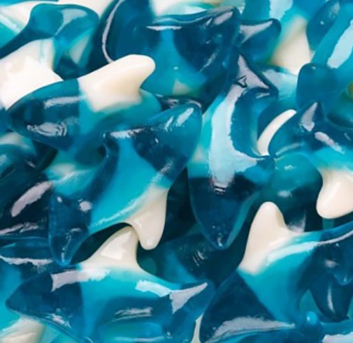 Gummy - Blue Sharks Albanese