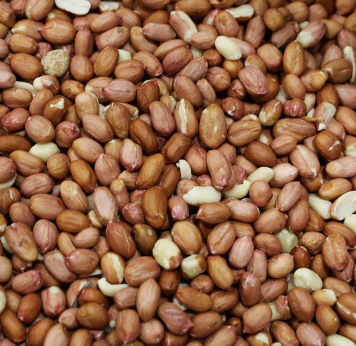 Peanuts - Spanish Raw 110 lb