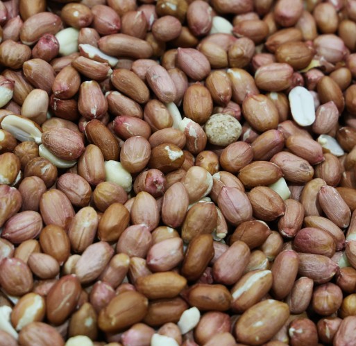 Peanuts - Spanish Raw 25 lb