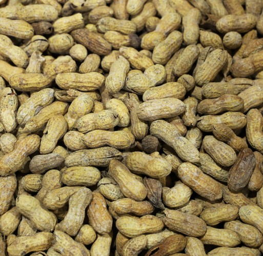 Peanuts - Cajun In-Shell