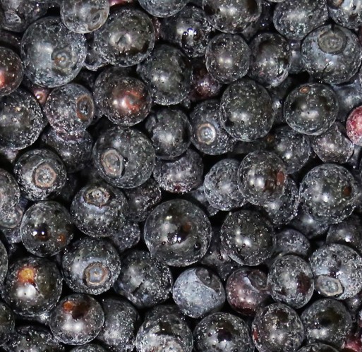 FZ Fruit - Blueberries IQF WV 30 lb