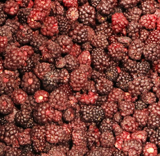 FZ Fruit - Boysenberries IQF WV 30 lb