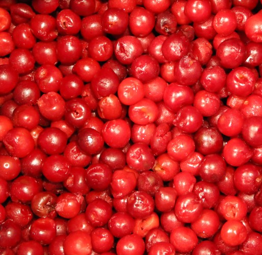 FZ Fruit - Red Tart Cherries IQF Bulk