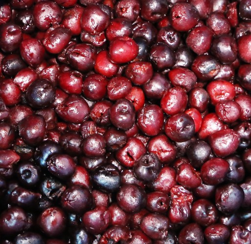 FZ Fruit - Dark Sweet Cherries IQF Bulk