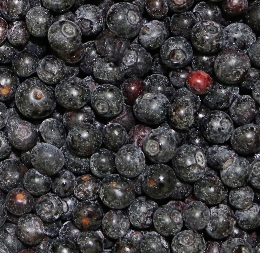FZ Fruit - Wild Blueberries IQF Bulk