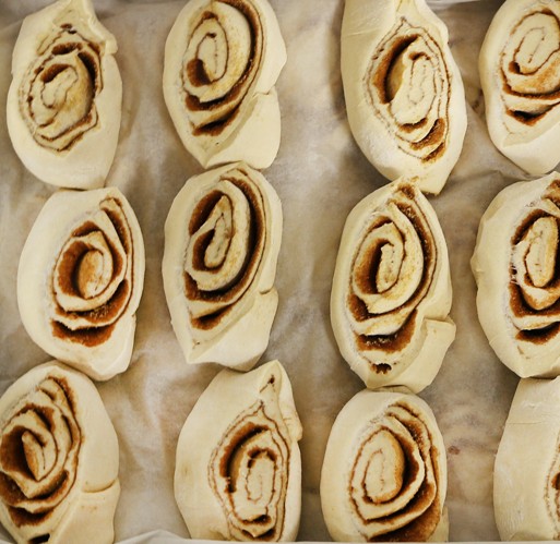 FZ Cinnamon Roll - Individual Pucks 3.5 oz