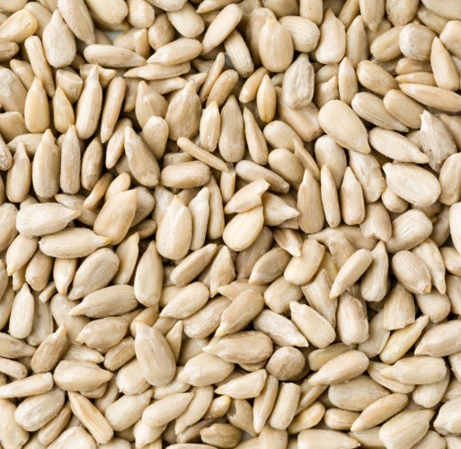 Sunflower Kernels - Raw