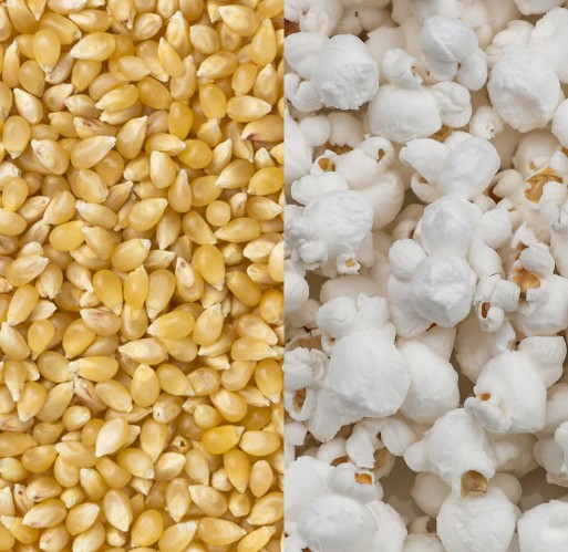 Popcorn - Baby White Hulless 50 lb