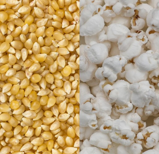 Popcorn - Medium White Hulless 50 lb