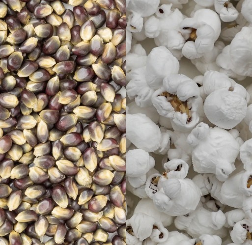 Popcorn - Blue 50 lb