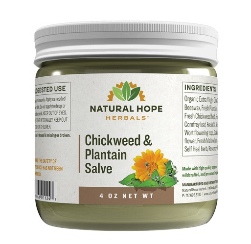 Herbal Salve - Chickweed & Plantain 4 oz