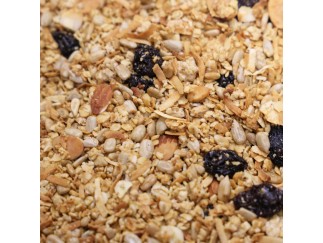 Cereal - Unsweetened Raisin & Apple Granola
