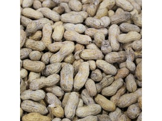 Peanuts - Roasted & Salted  In-Shell  25 lb