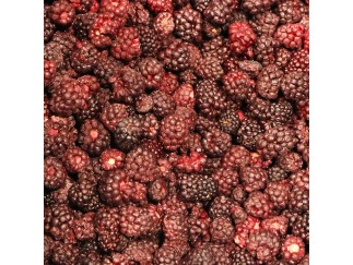 FZ Fruit - Boysenberries IQF WV 30 lb