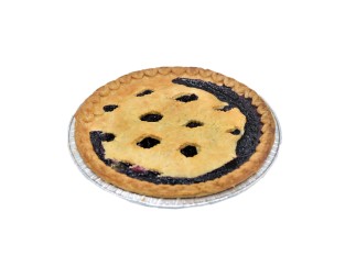 FZ Pie - 9" Wild Blueberry Pre-baked Gardner