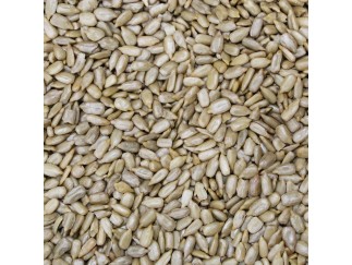 Sunflower Kernels - Roasted & No Salt