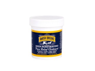 Ointment - Amish Origins Pain Relief 3.5 oz