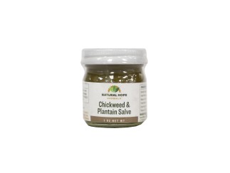 Herbal Salve - Chickweed & Plantain 1 oz